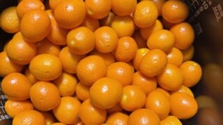 金柑　きんかん